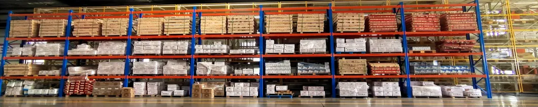 Automated Intelligent Design Radio Shuttle Racking Warehouse Shelving.